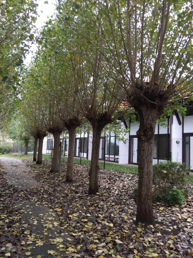 Vakantiewoning Kaviaar Middelkerke Luaran gambar